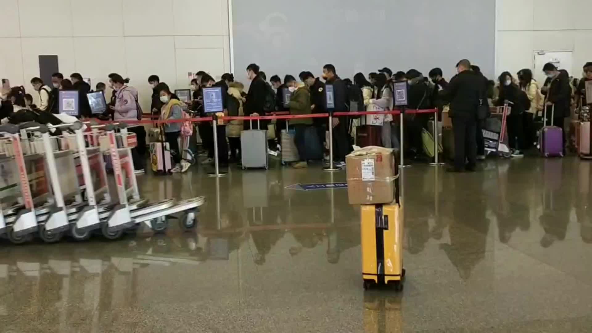 机场游客到站排队等出口的人群视频的预览图