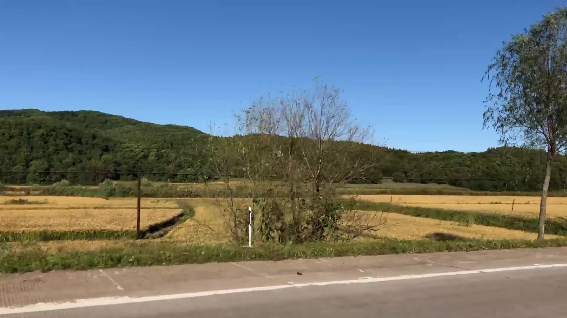 乡村风景农村朴素田园风光视频的预览图