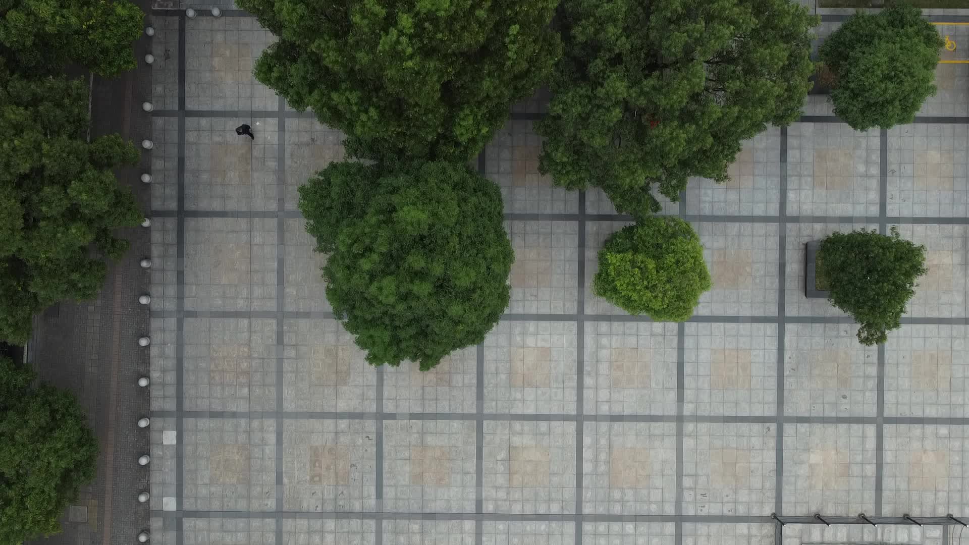 湖北宜昌城市休闲绿地航拍视频的预览图