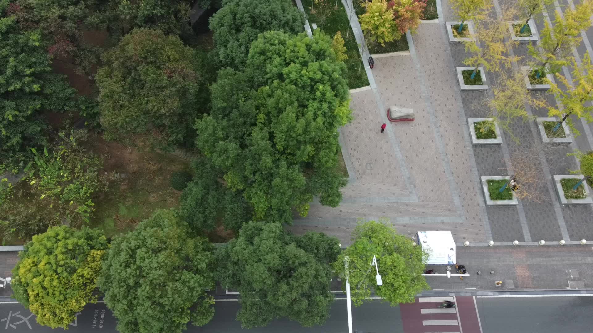 4k湖北宜昌城市休闲绿地航拍视频的预览图