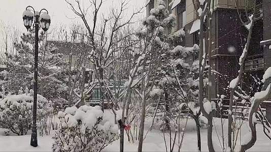 北京顺义住宅小区下雪冰天雪地玩雪落大雪视频的预览图