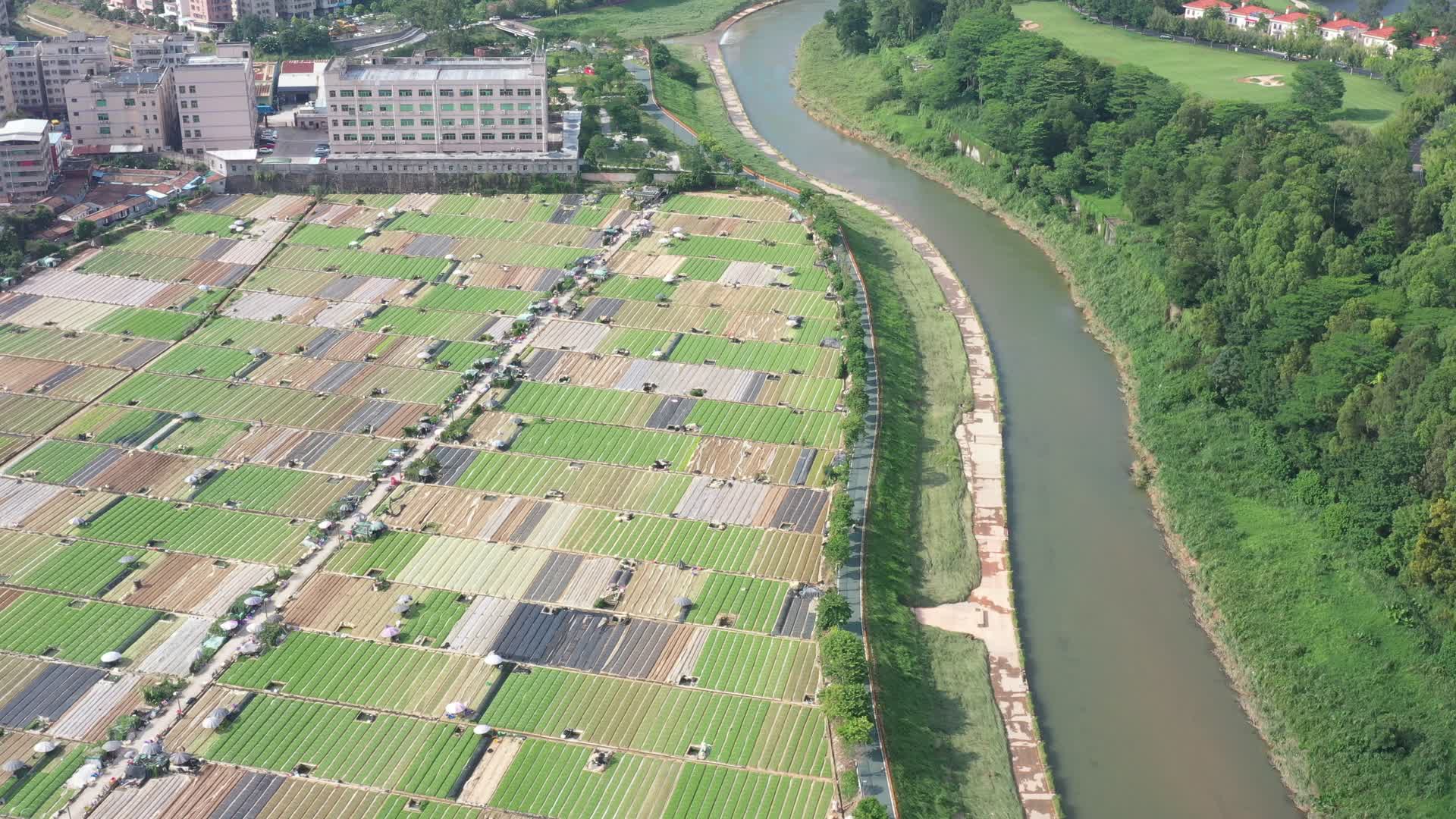 深圳龙华乡村航拍视频的预览图
