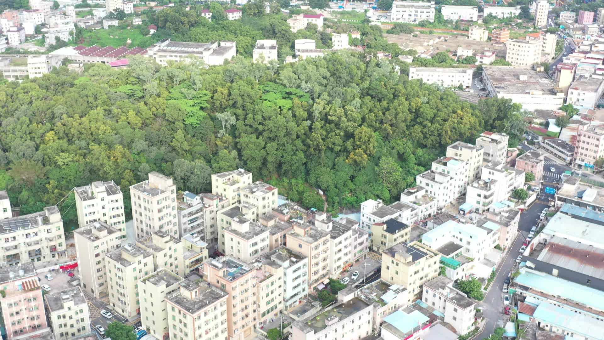 深圳龙华乡村居住区航拍视频的预览图
