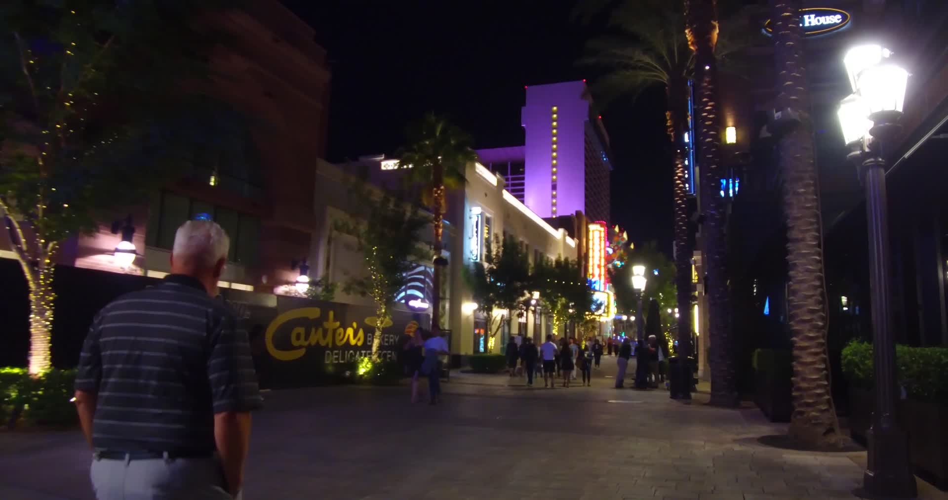 美国拉斯维加斯商业街实拍4K视频的预览图