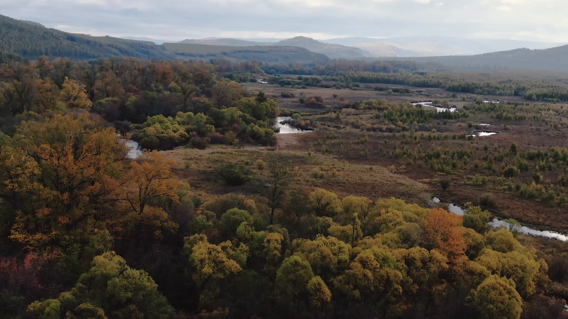 4K航拍根河湿地视频的预览图