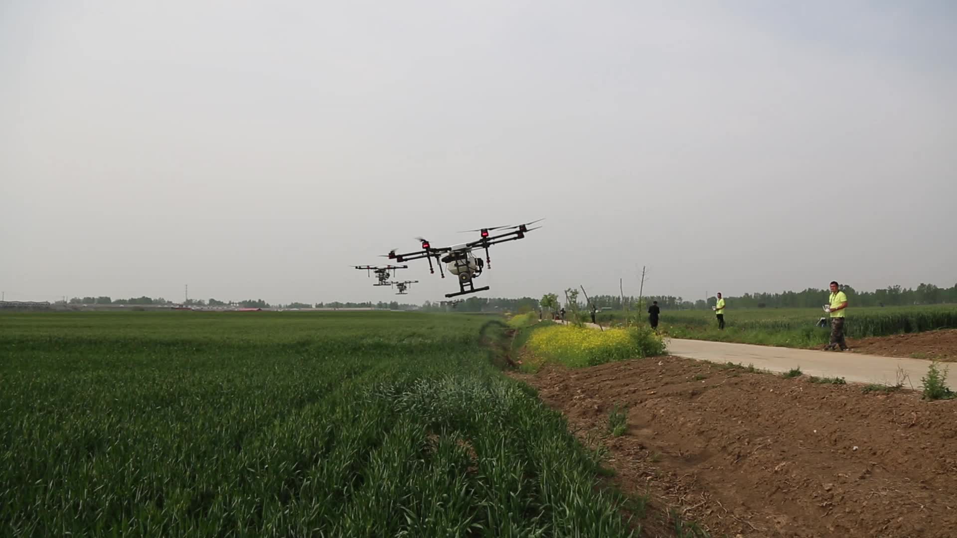 小麦打药无人机科技农业视频视频的预览图