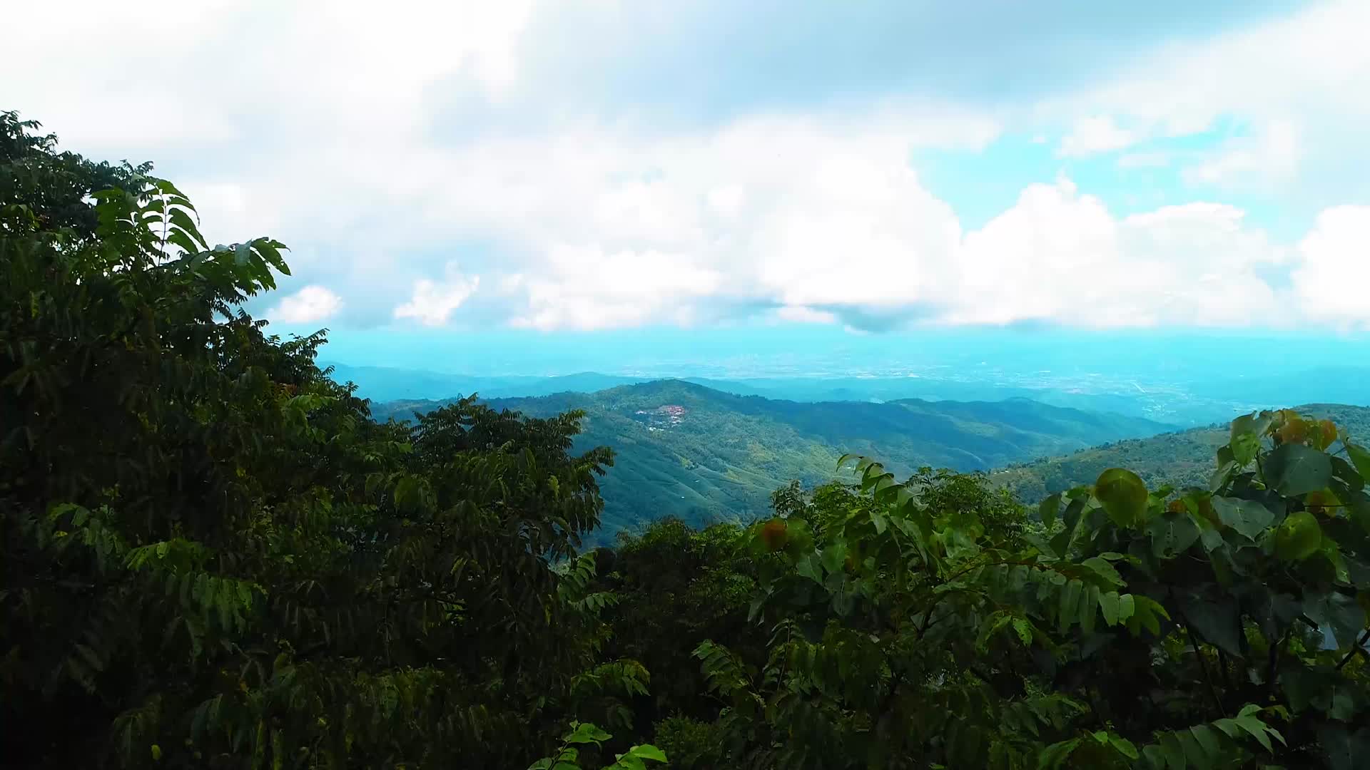 西双版纳勐海茶山实拍视频视频的预览图