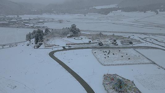 4K航拍西藏鲁朗小镇冬日视频的预览图