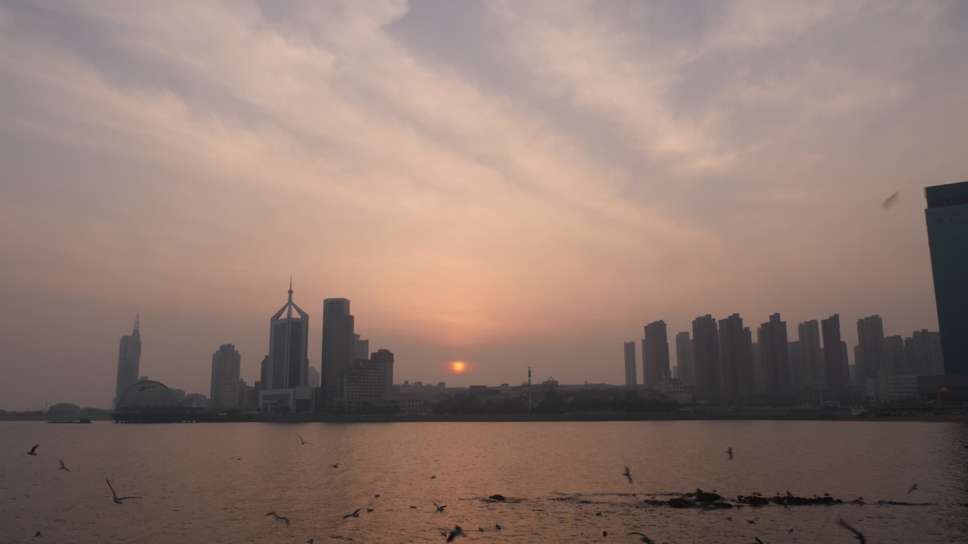 青岛海鸥夕阳栈桥视频的预览图