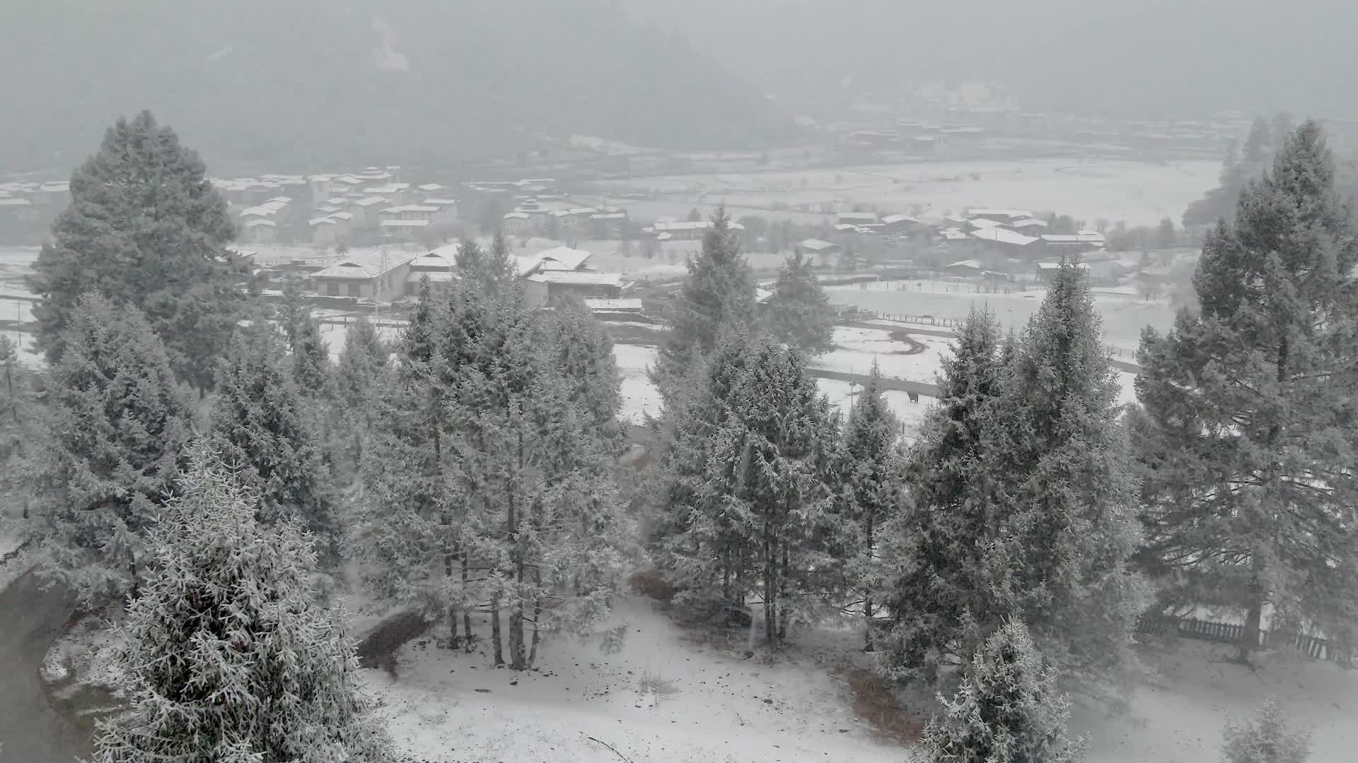4K航拍西藏鲁朗小镇冬日视频的预览图