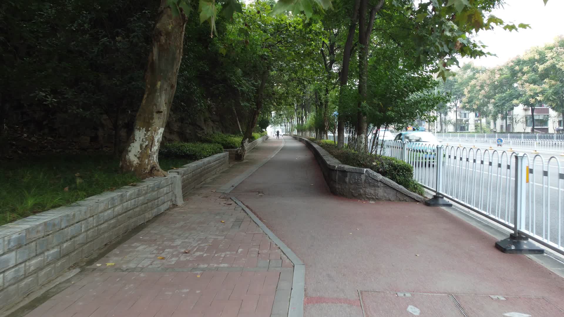 湖北宜昌步行道路实拍视频的预览图
