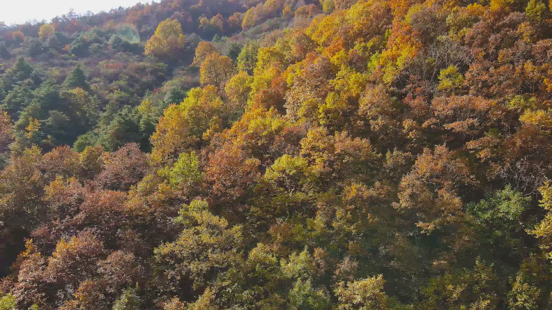 4K航拍留坝风景视频的预览图