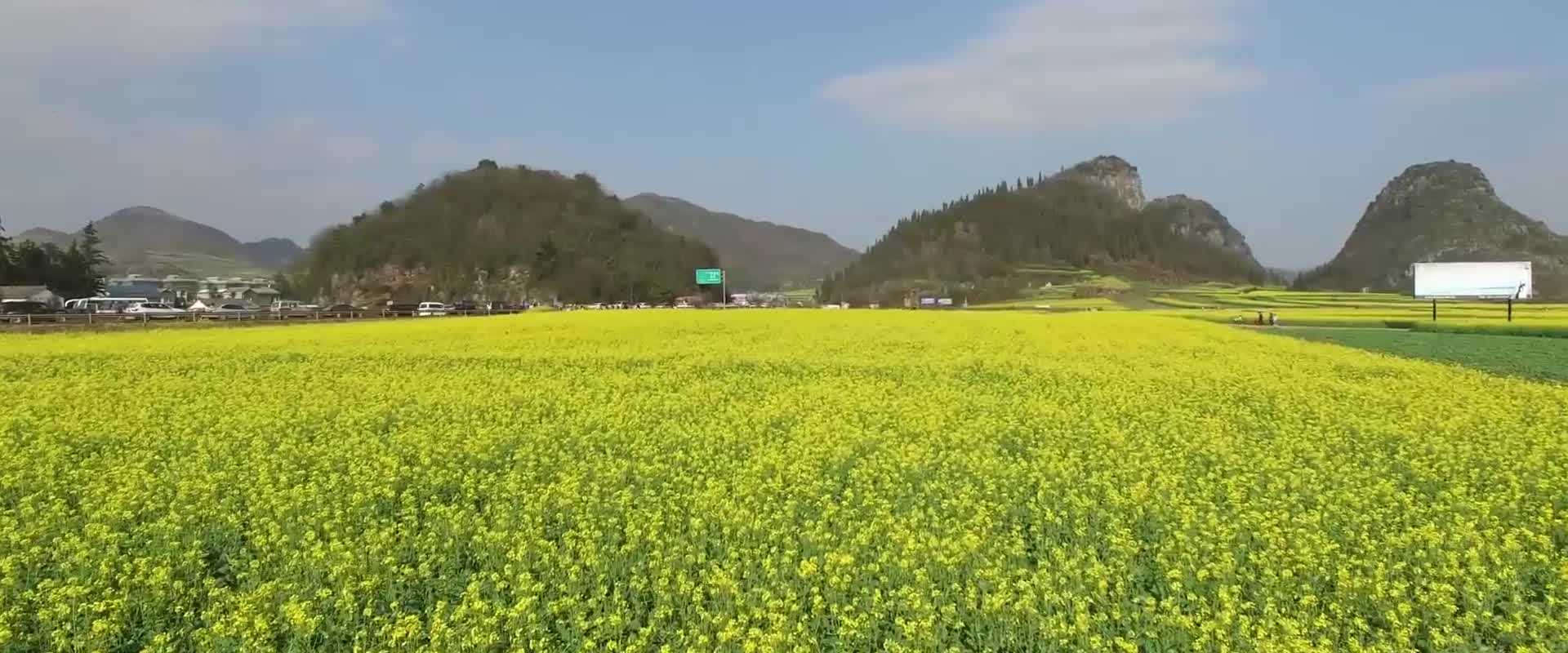 云南航拍油菜花地鸟瞰农田农业种植视频的预览图