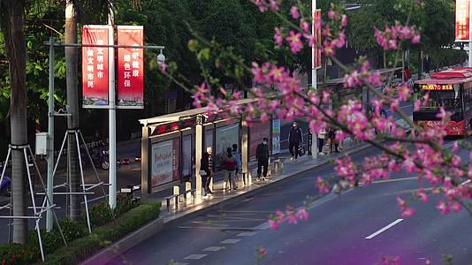 早晨公交车站视频的预览图