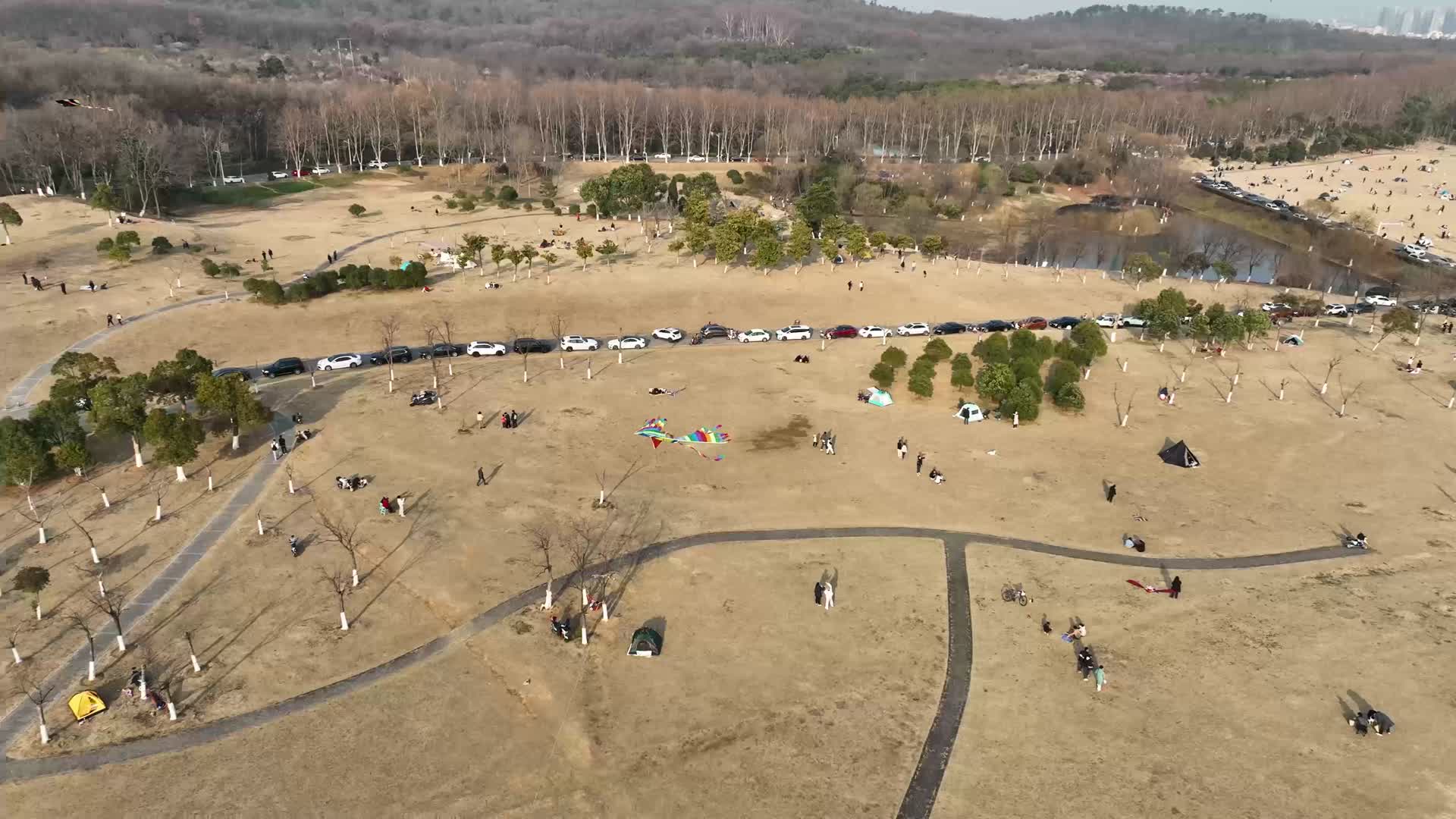 航拍城市天空飞舞的风筝视频的预览图