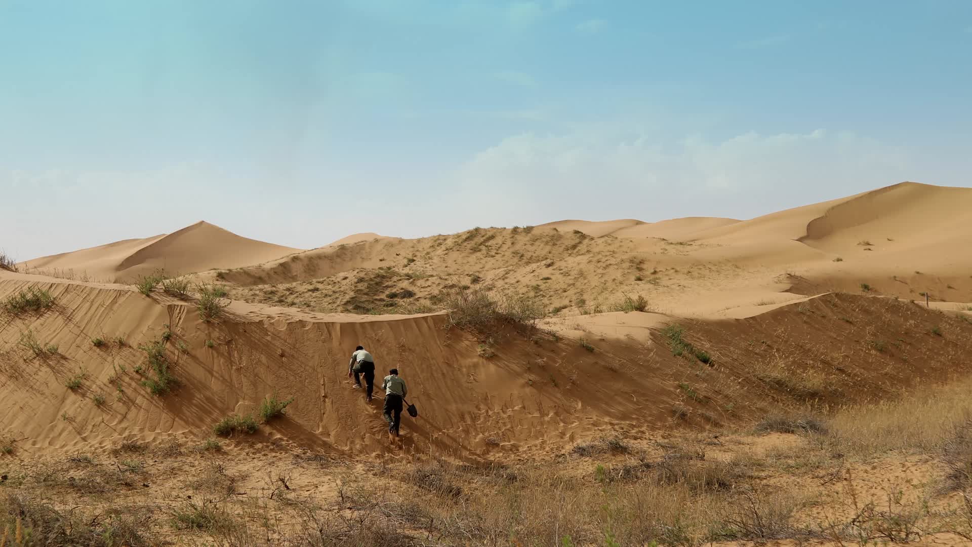 沙漠守护者视频的预览图