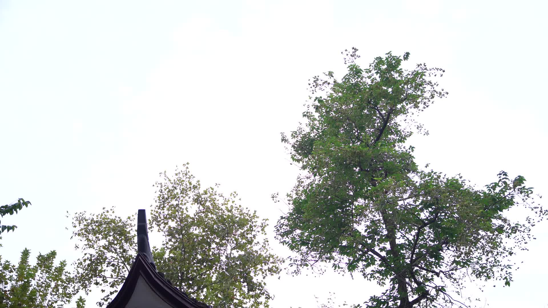 浙江杭州西湖隐庐建筑视频的预览图