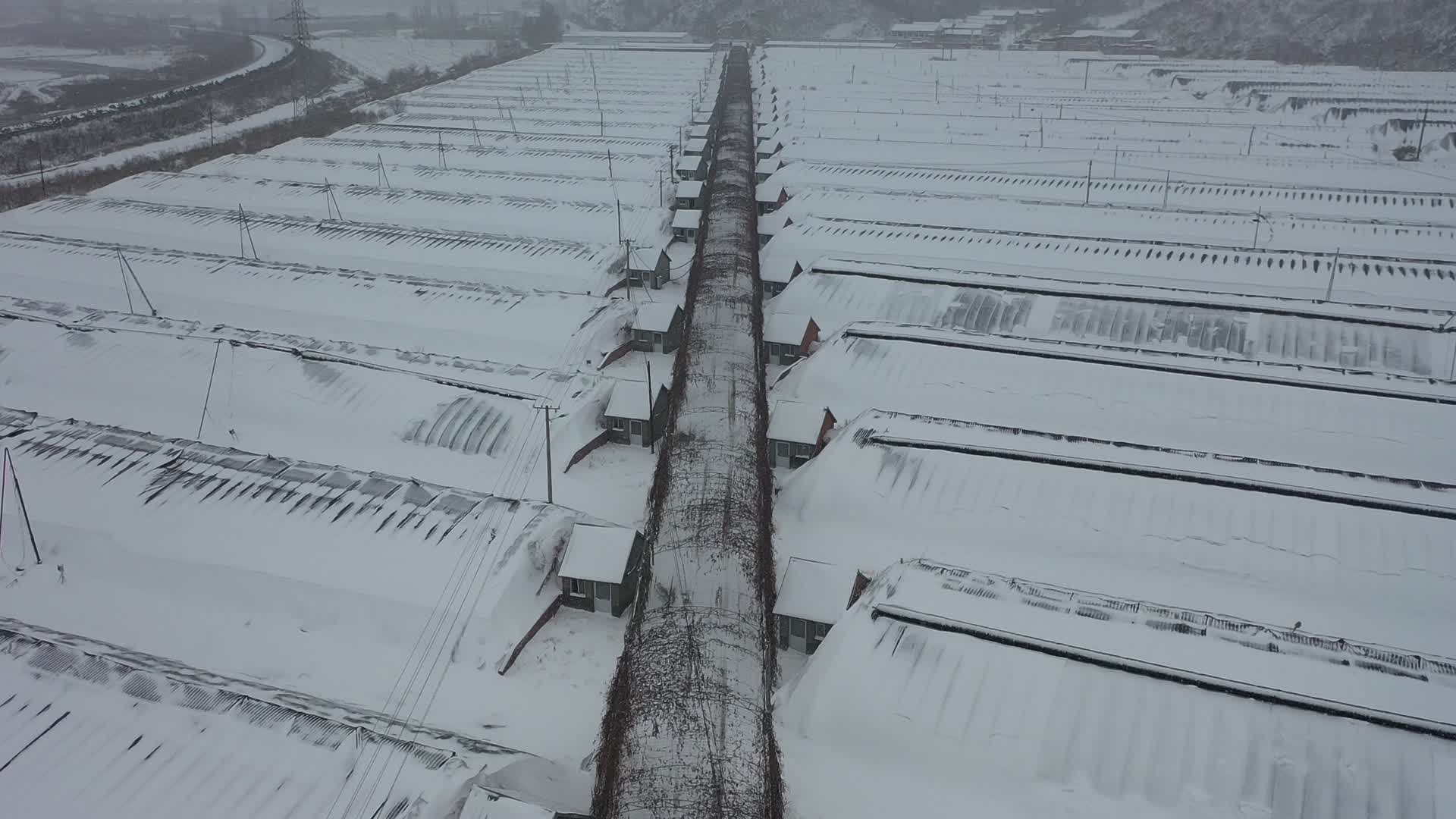 航拍雪后的农业大棚视频的预览图