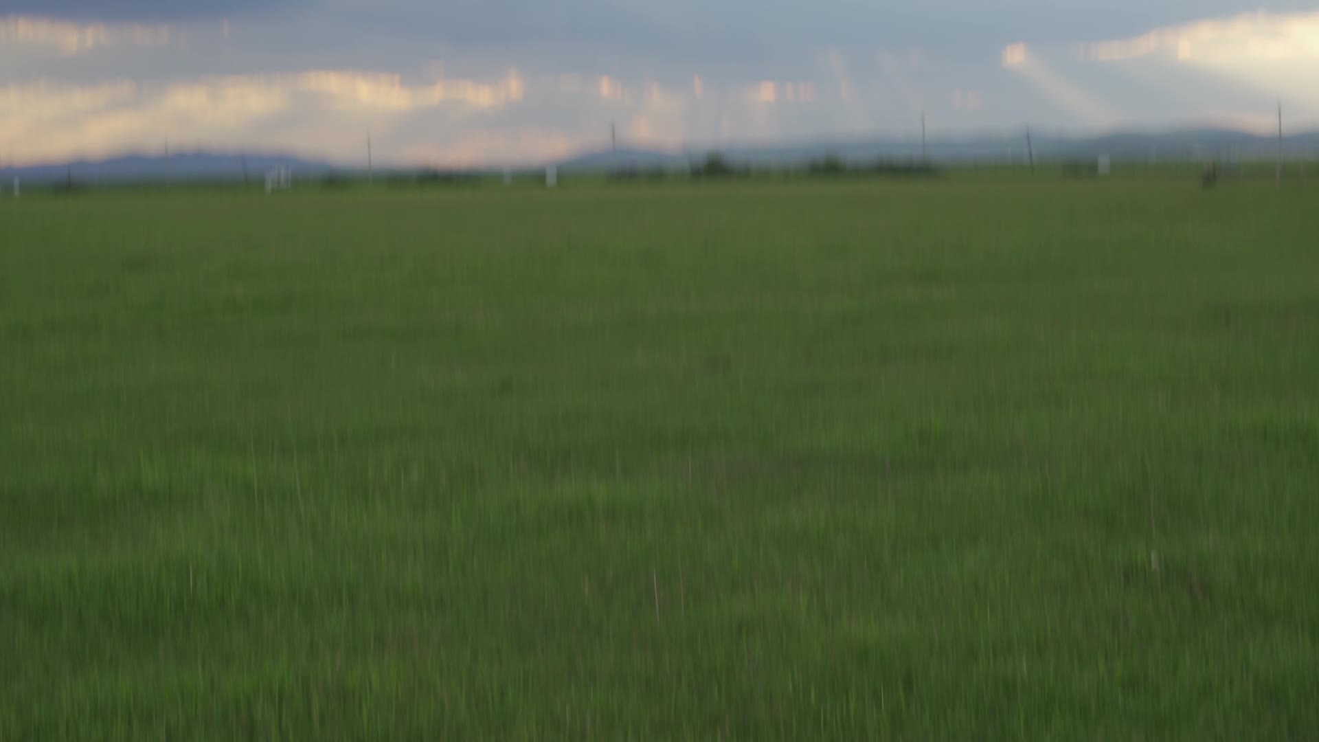 坝上草原景色视频的预览图