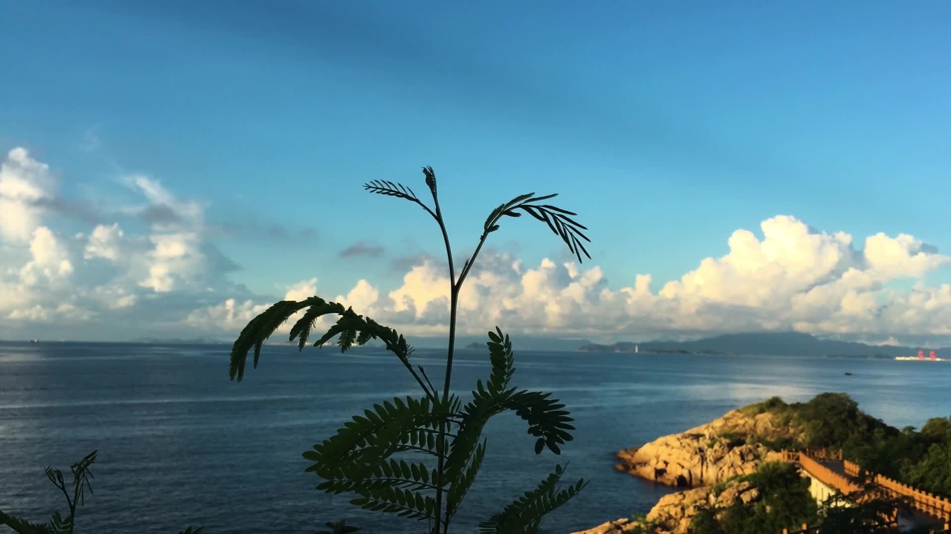 大亚湾黄金海岸晨辉横拍系列全景视频的预览图