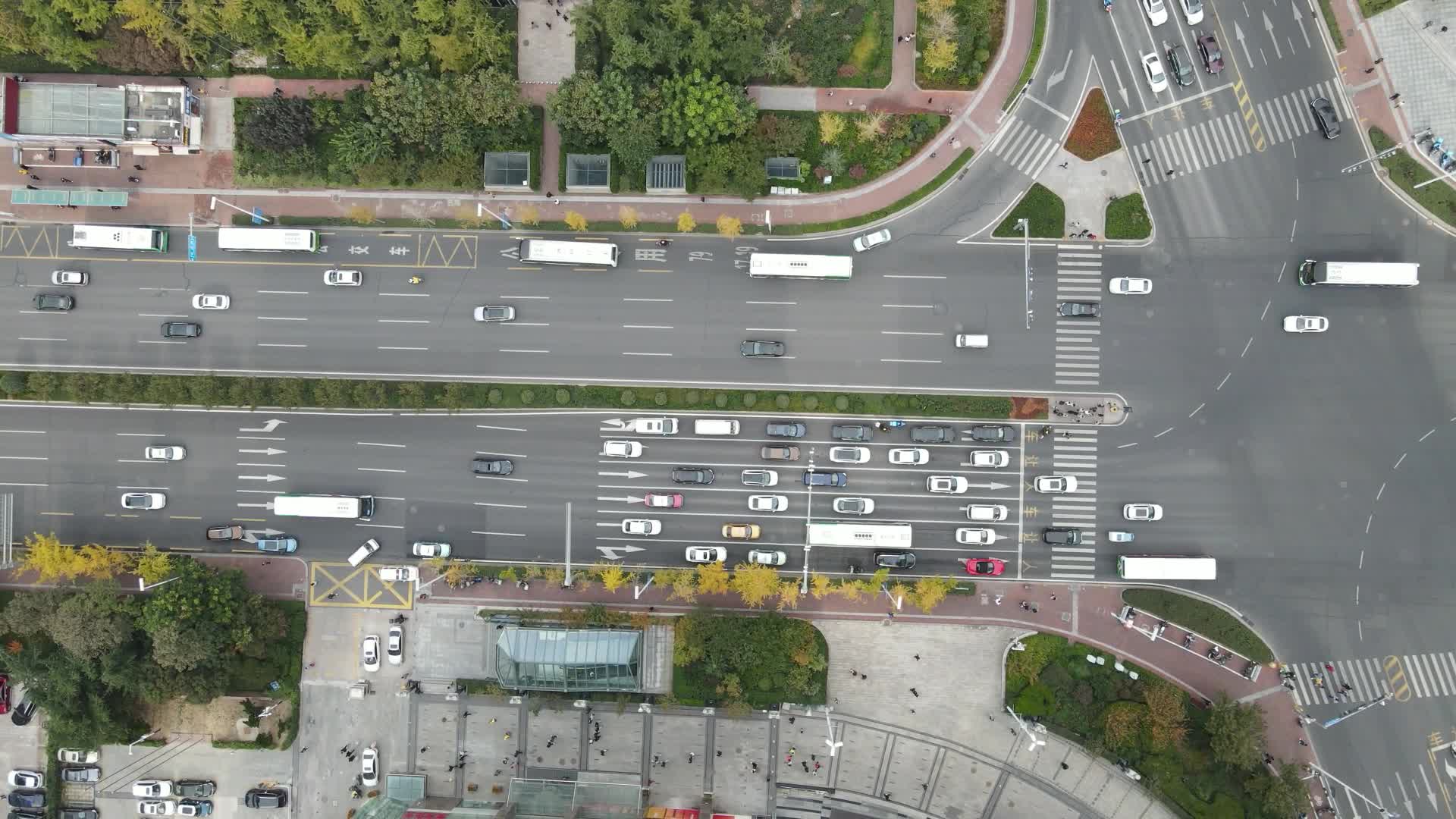 航拍山东青岛城市高楼交通视频的预览图