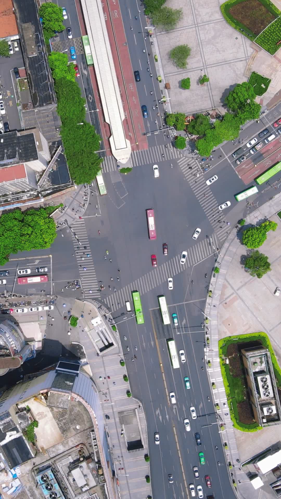 俯拍城市十字交叉路口车流竖屏视频的预览图