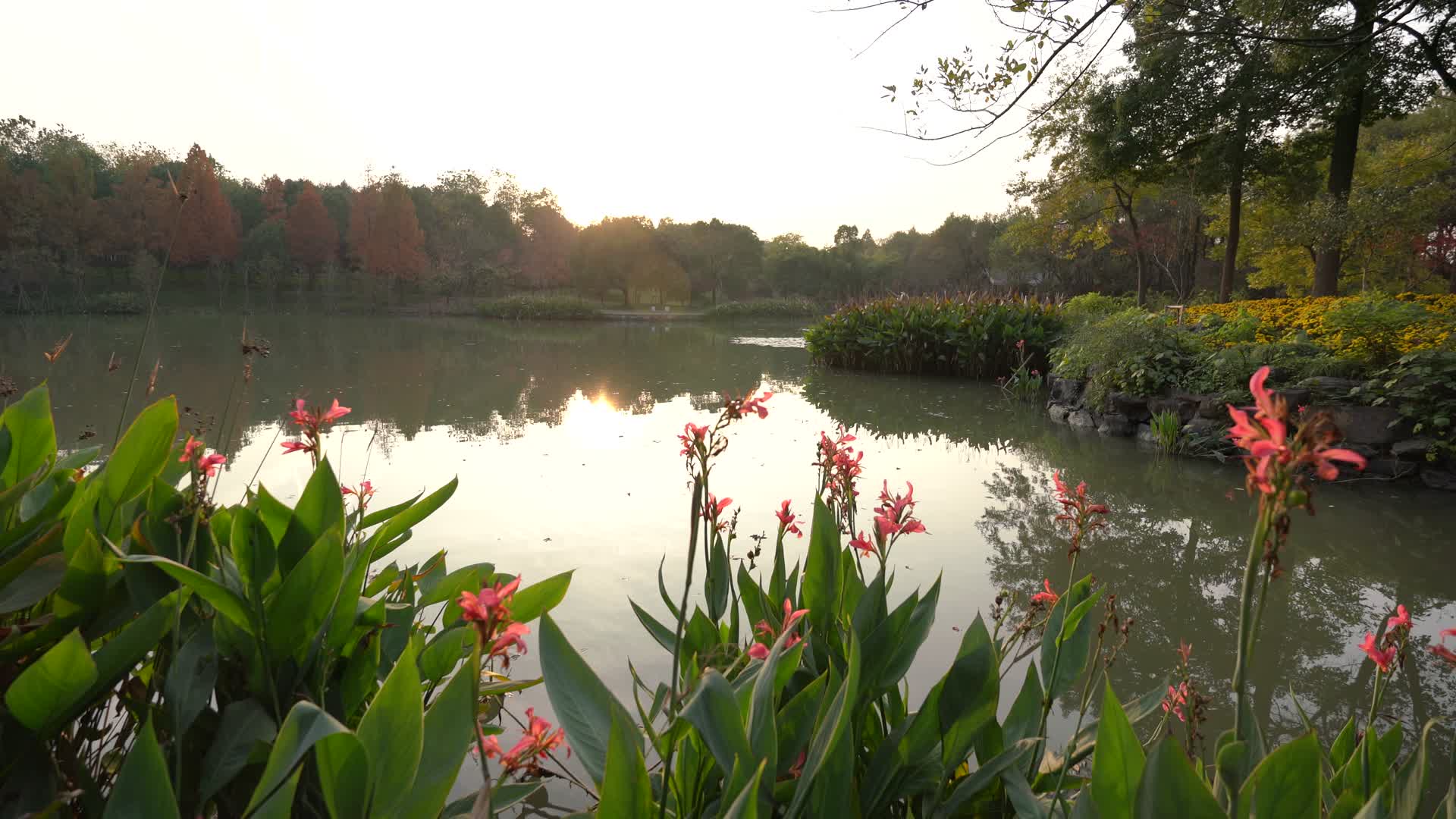 浙江杭州城西休闲公园风景4K视频视频的预览图