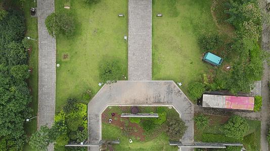 俯拍城市公园绿化植物视频的预览图