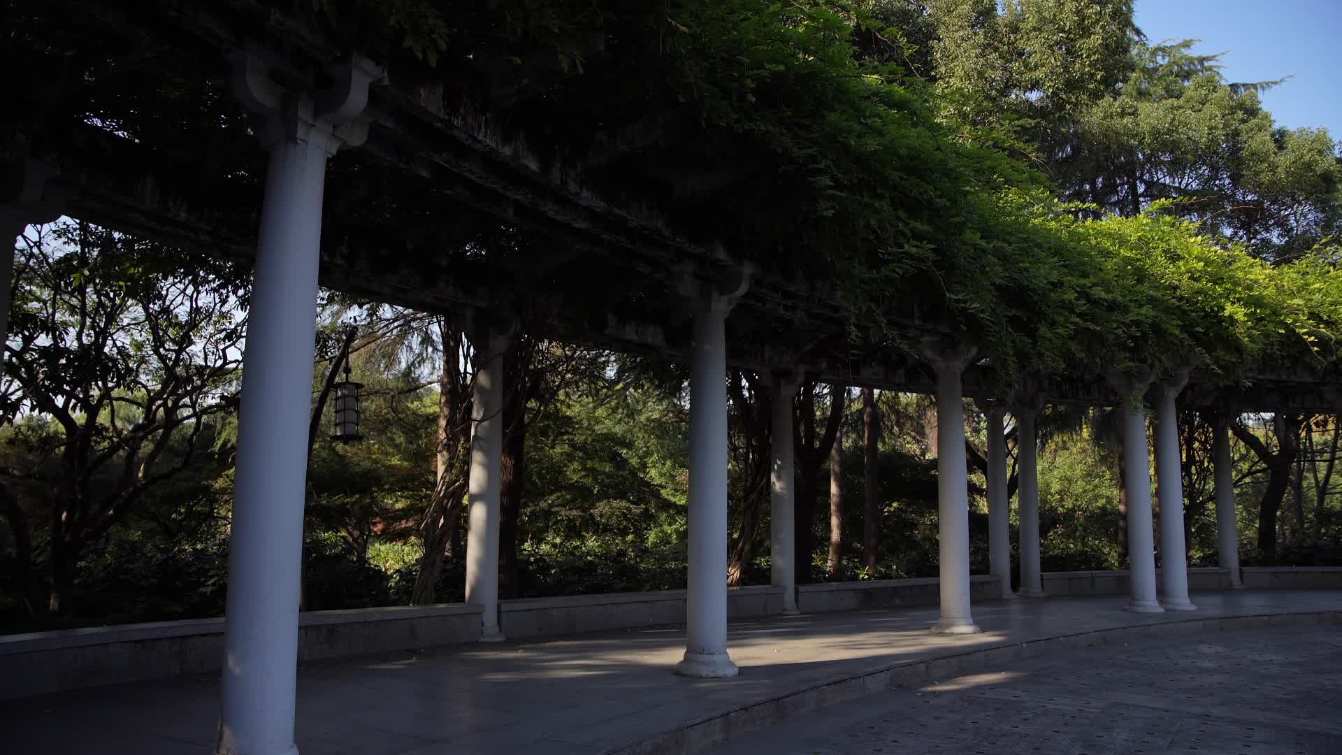 浙江杭州西湖景区杭州花圃4K视频视频的预览图