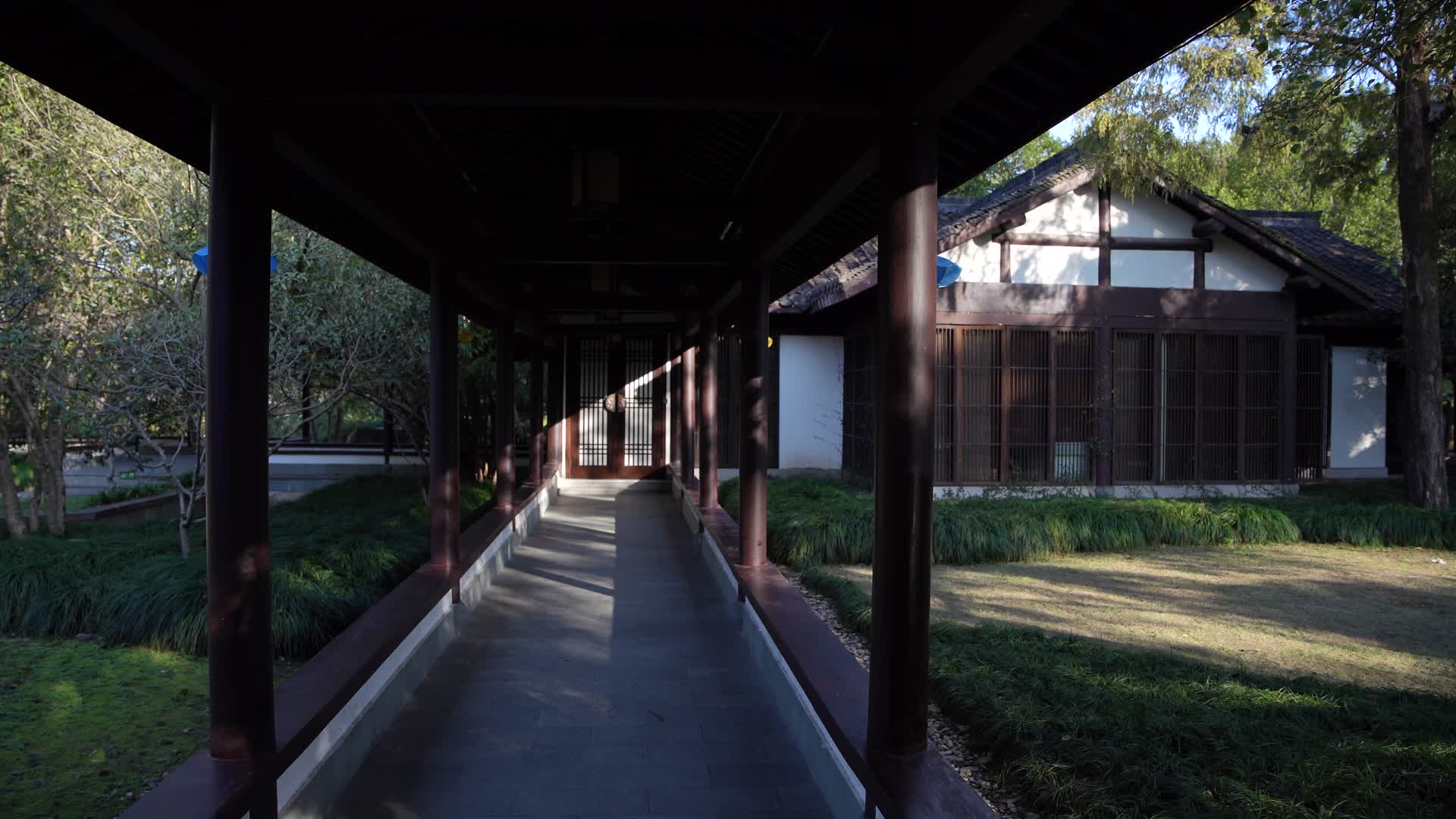 浙江杭州西湖景区杭州花圃4K视频视频的预览图