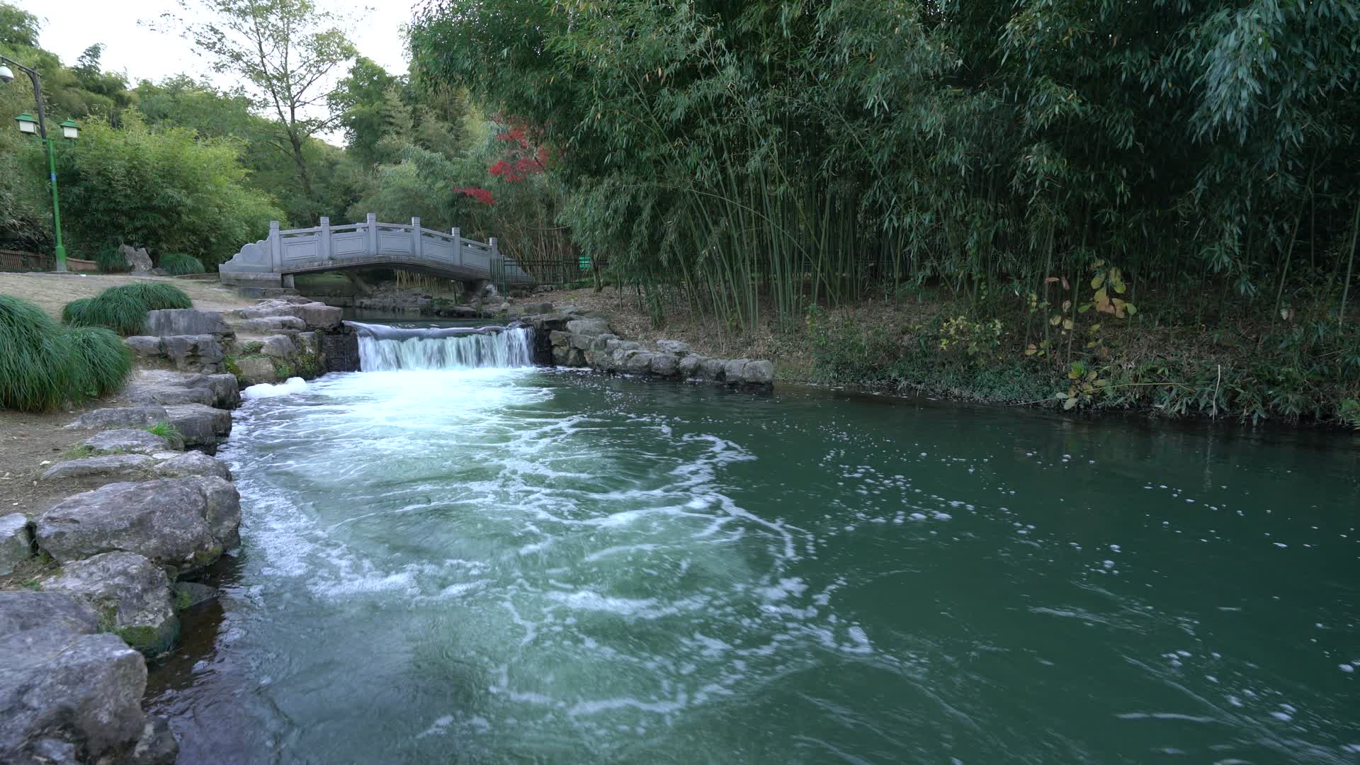 浙江杭州西湖景区杭州植物园4K视频视频的预览图