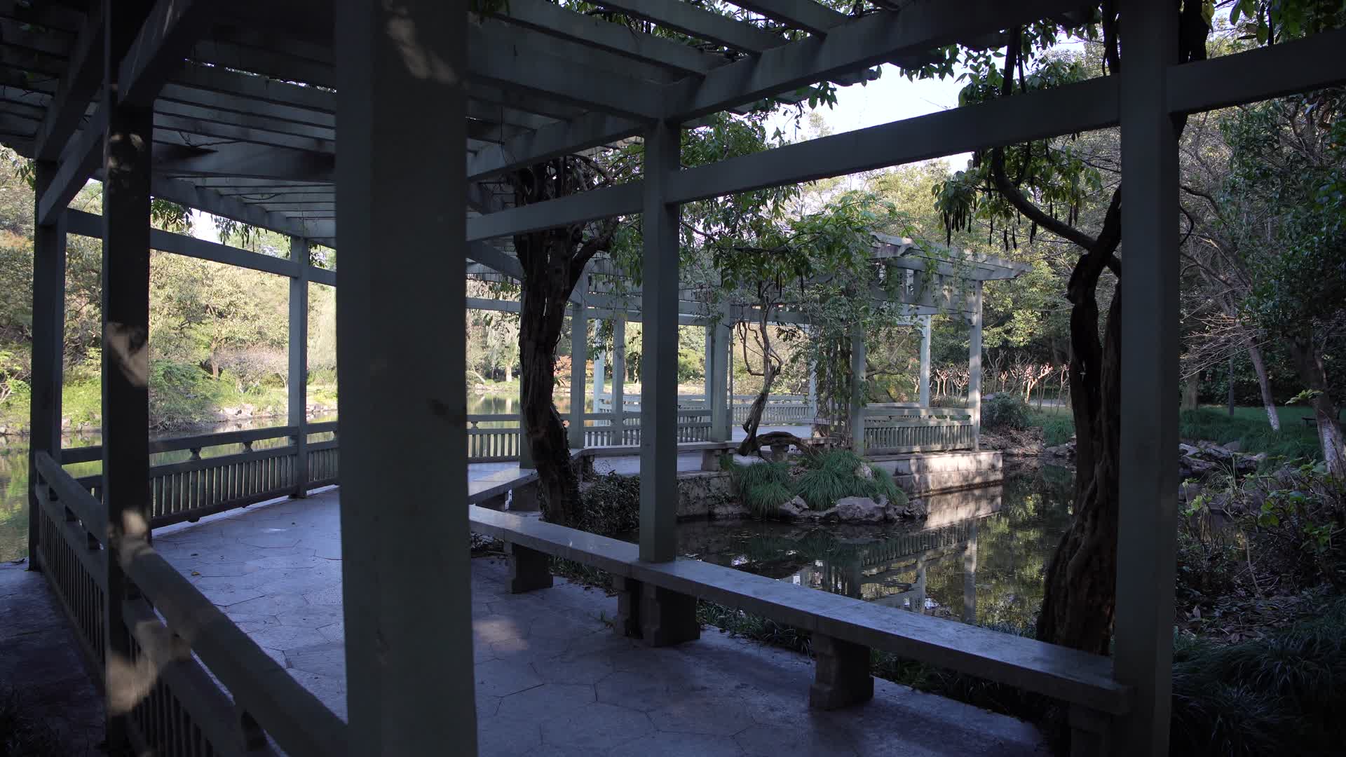 浙江杭州西湖景区花港观鱼4K视频视频的预览图