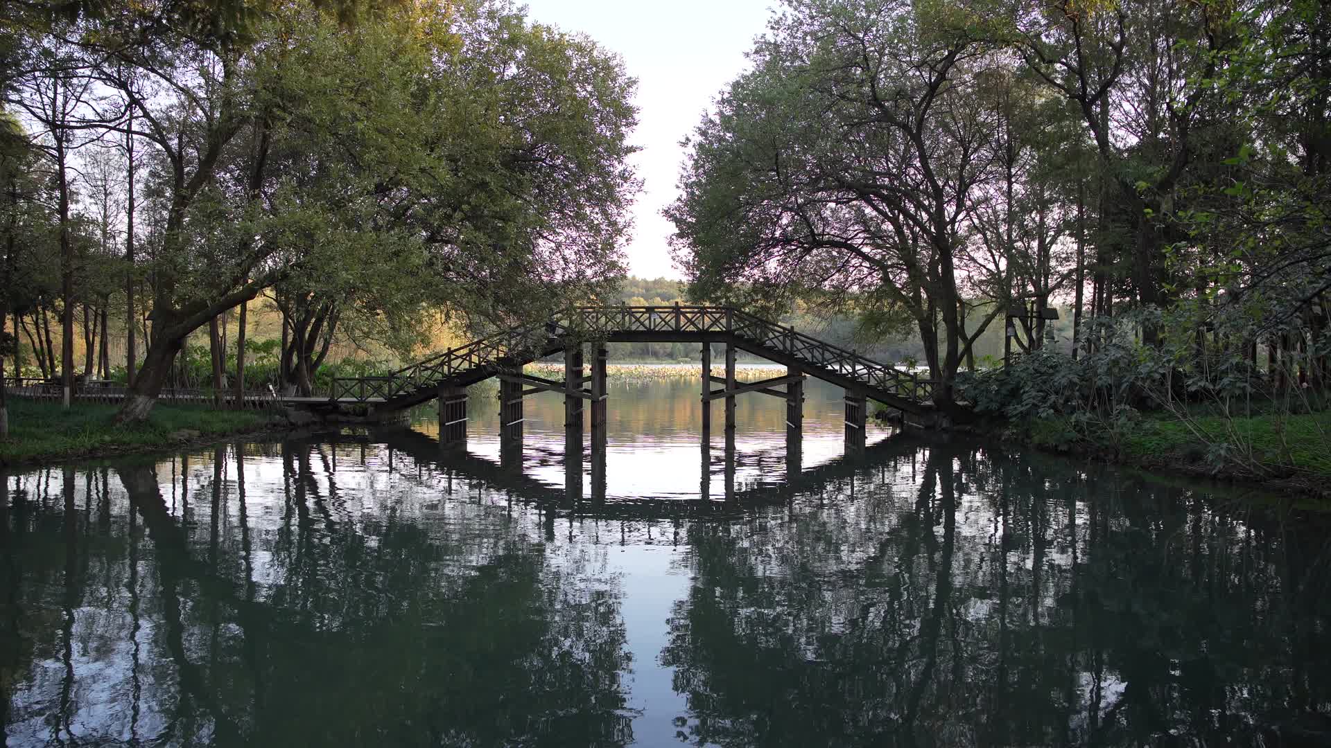 浙江杭州西湖景区茅家埠4K视频视频的预览图