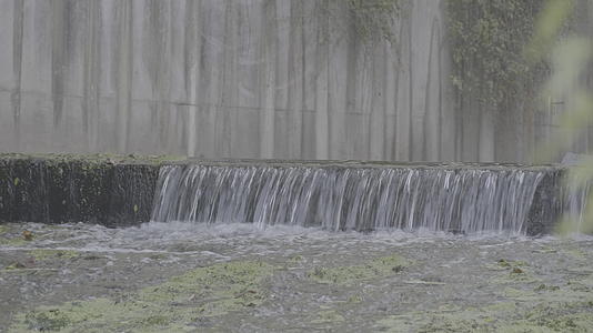 河流小溪排水渠4K实拍视频视频的预览图