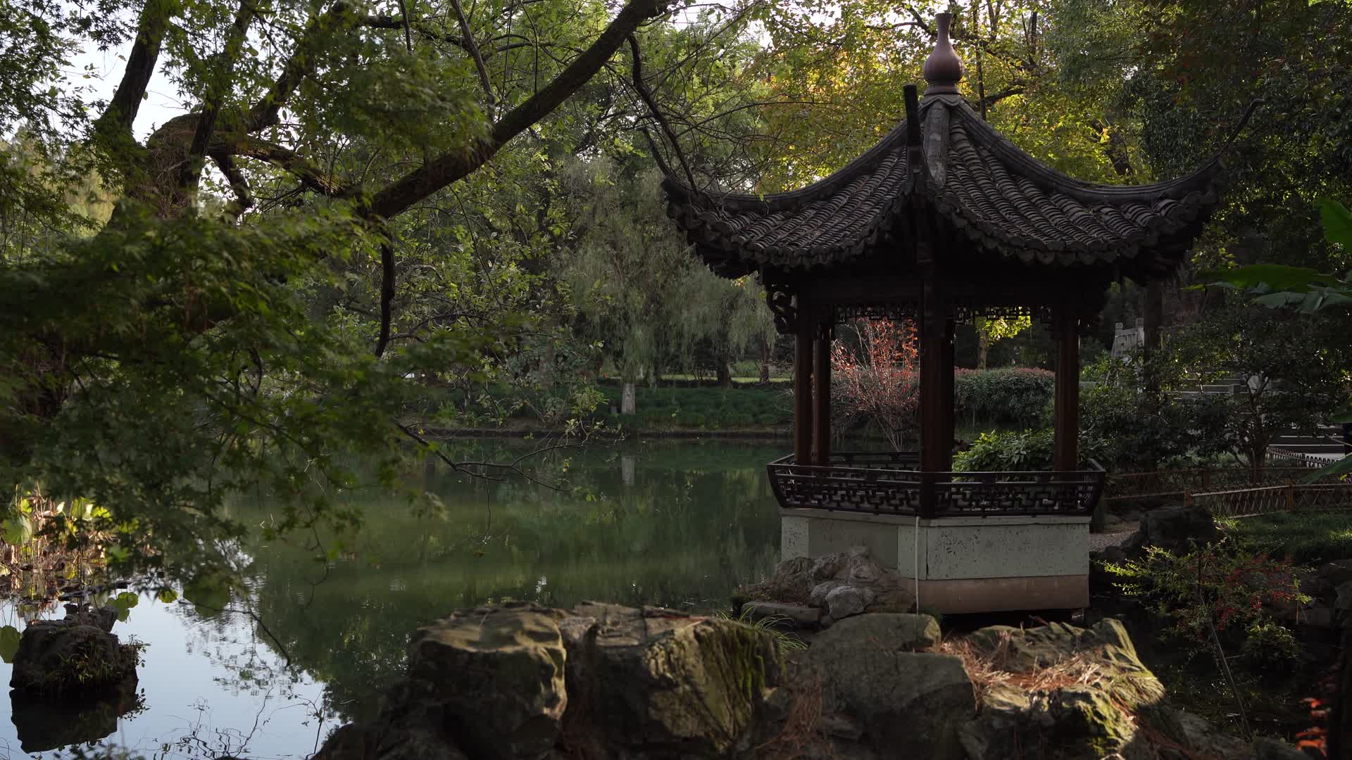 浙江杭州西湖景区曲院风荷4K视频视频的预览图