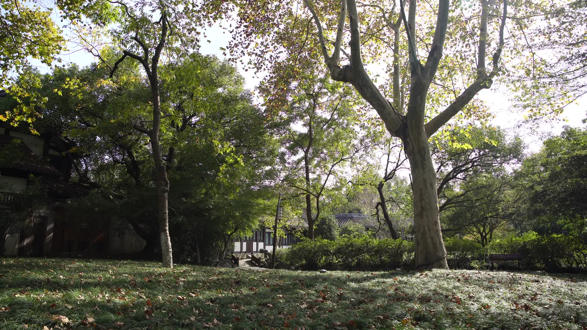 浙江杭州西湖景区曲院风荷竹素园4K视频视频的预览图