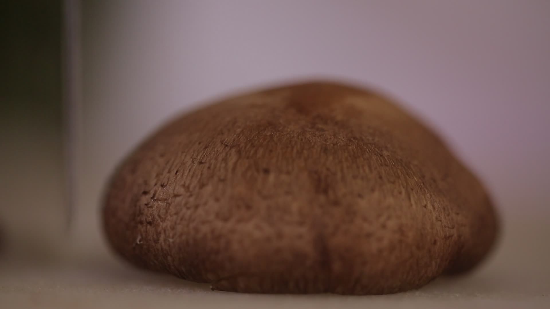 菜刀切鲜香菇视频的预览图