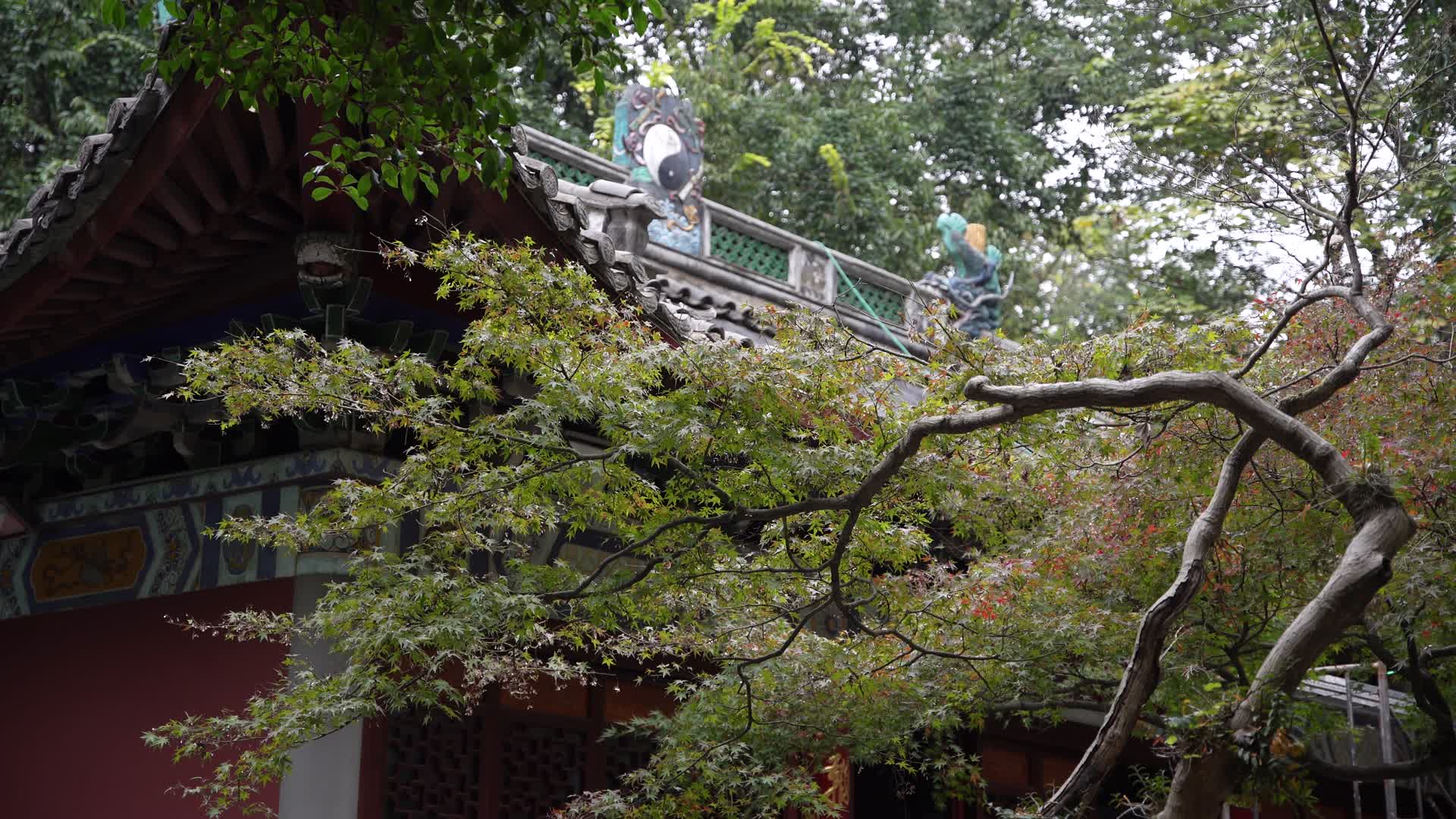 浙江杭州玉皇山景区老玉皇宫4K风景视频视频的预览图