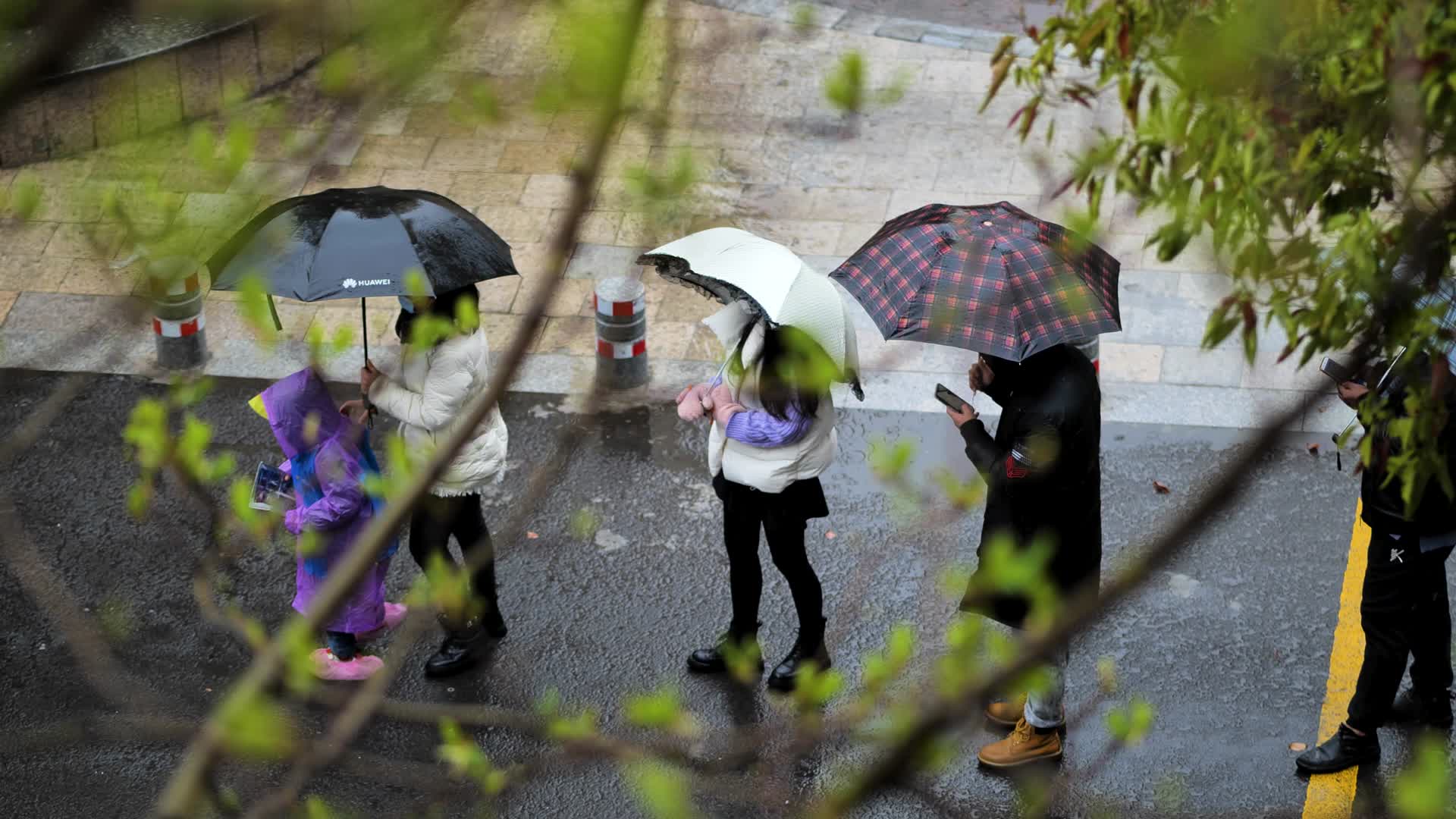 南京小区居民冒雨排队核酸视频的预览图