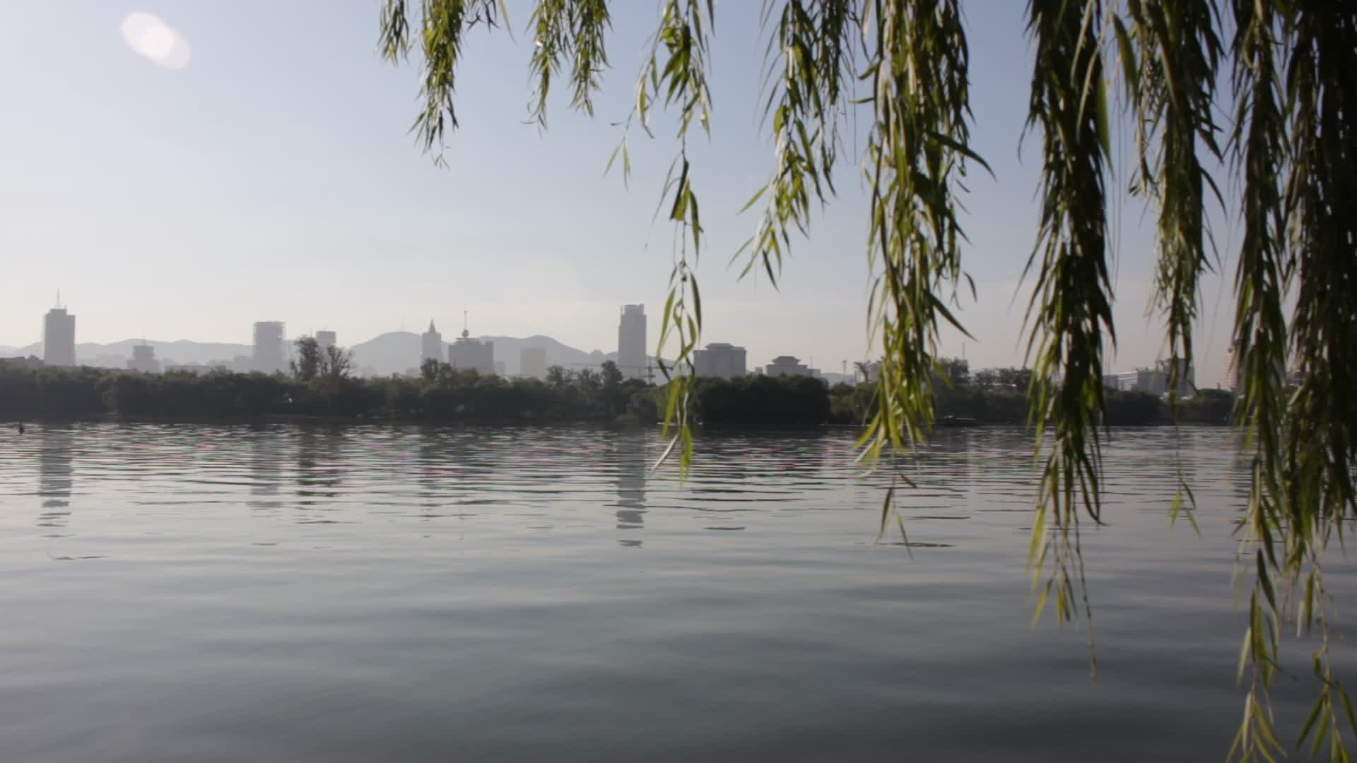 大明湖高清视频视频的预览图