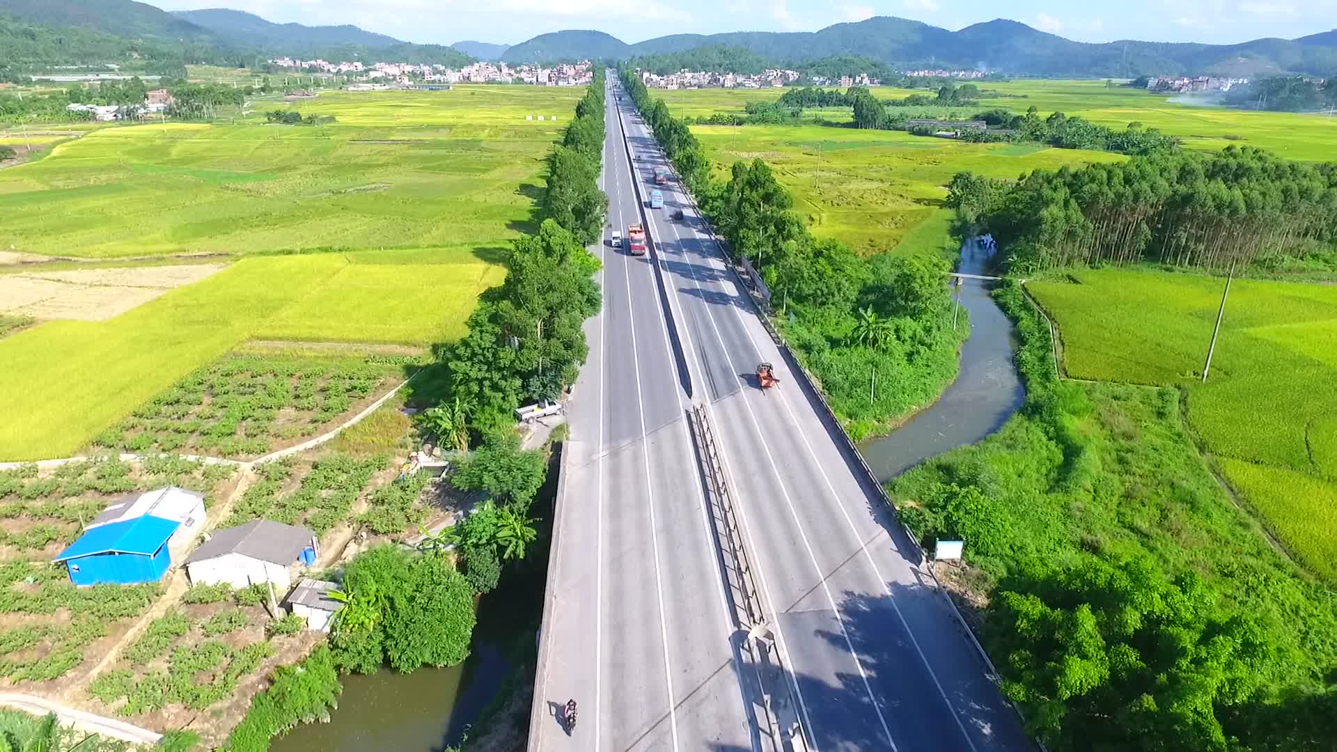 高清航拍公路贯穿水稻视频的预览图