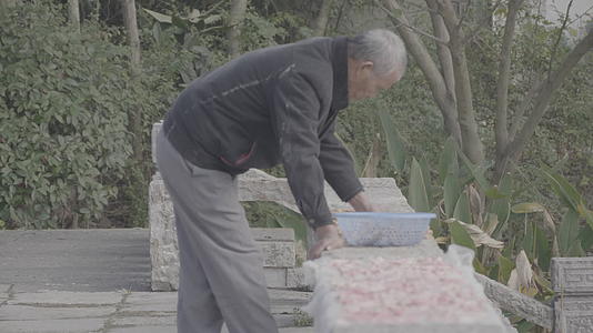 南京江宁杨柳村古建筑群腌制萝卜干晾晒4K实拍视频视频的预览图