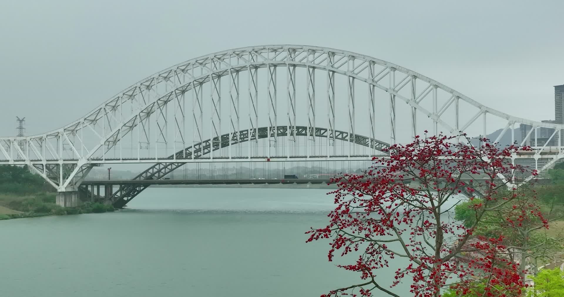 航拍高铁跨江铁路桥南宁三岸大桥4K视频的预览图
