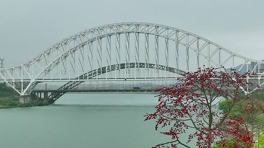 航拍高铁跨江铁路桥南宁三岸大桥4K视频的预览图