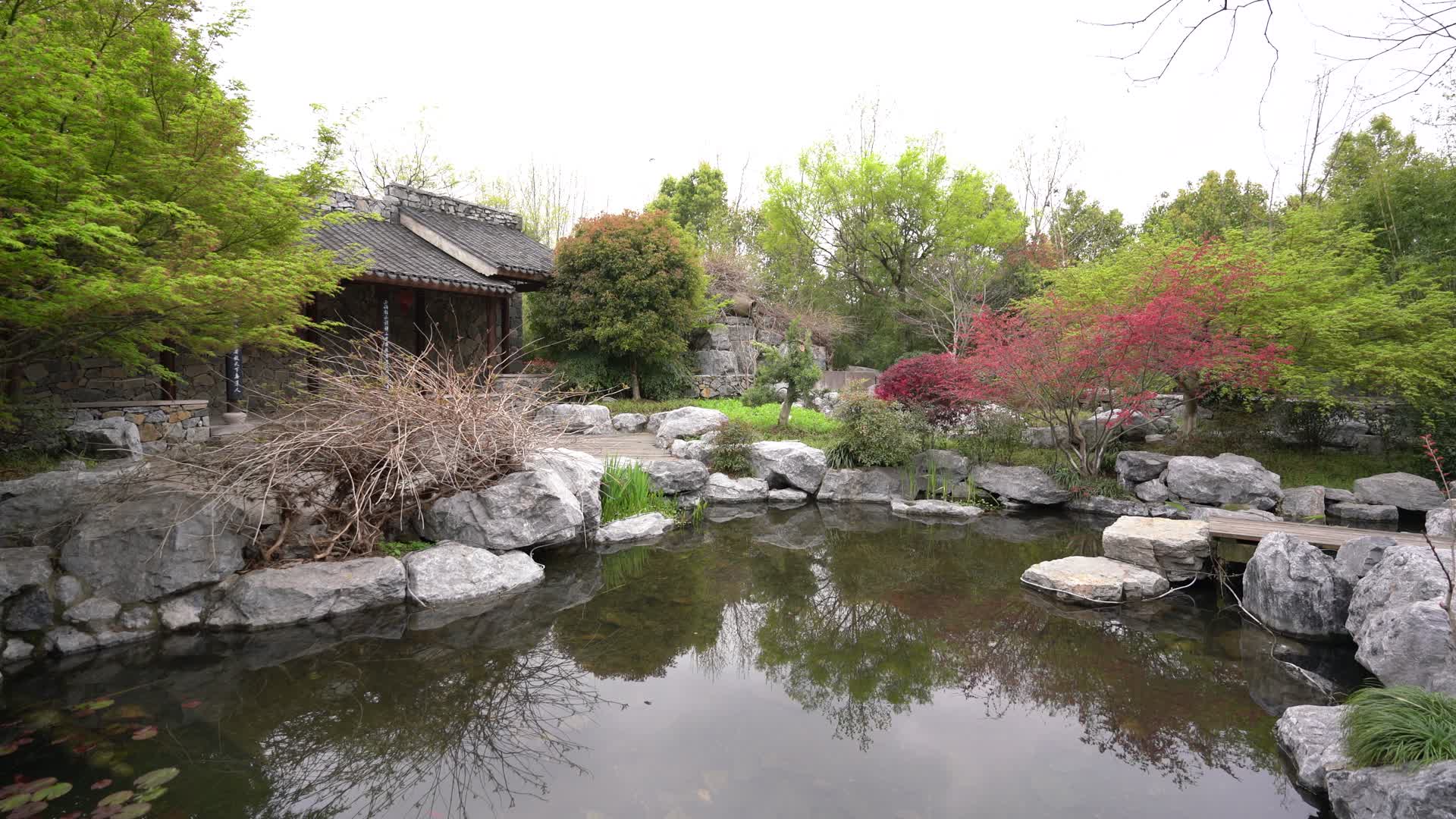 湖北武汉园博园园林4K风景视频视频的预览图