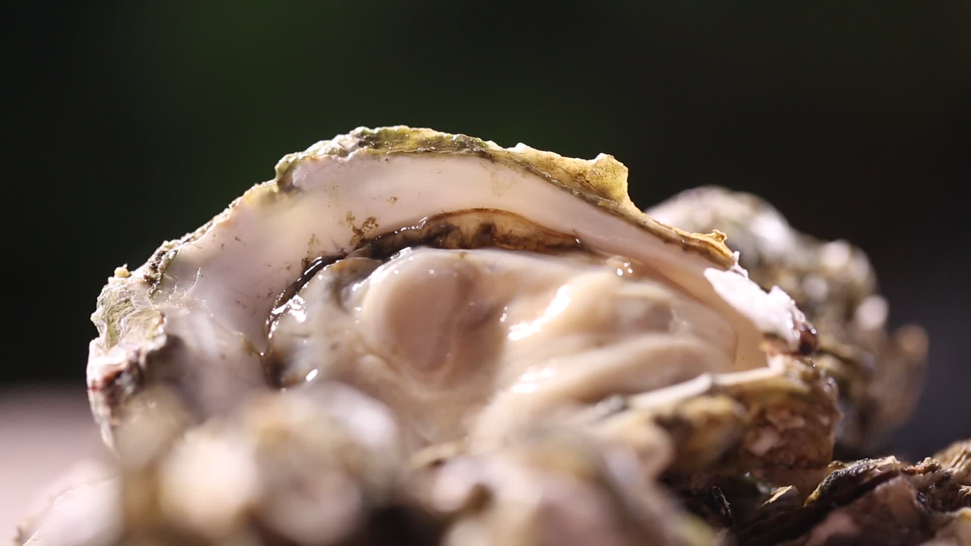 生蚝牡蛎海鲜视频的预览图