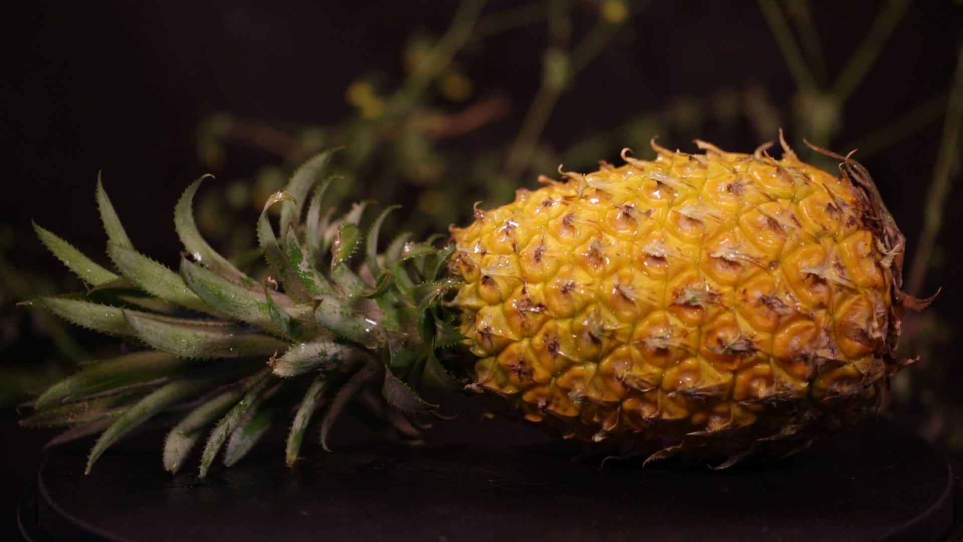 水果菠萝凤梨的各部分视频的预览图