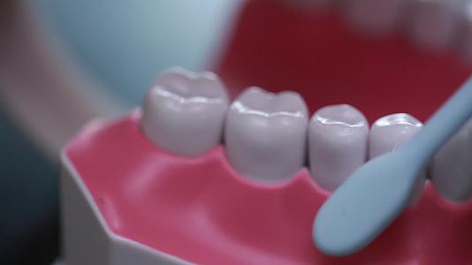 牙齿模型演示刷牙方法视频的预览图