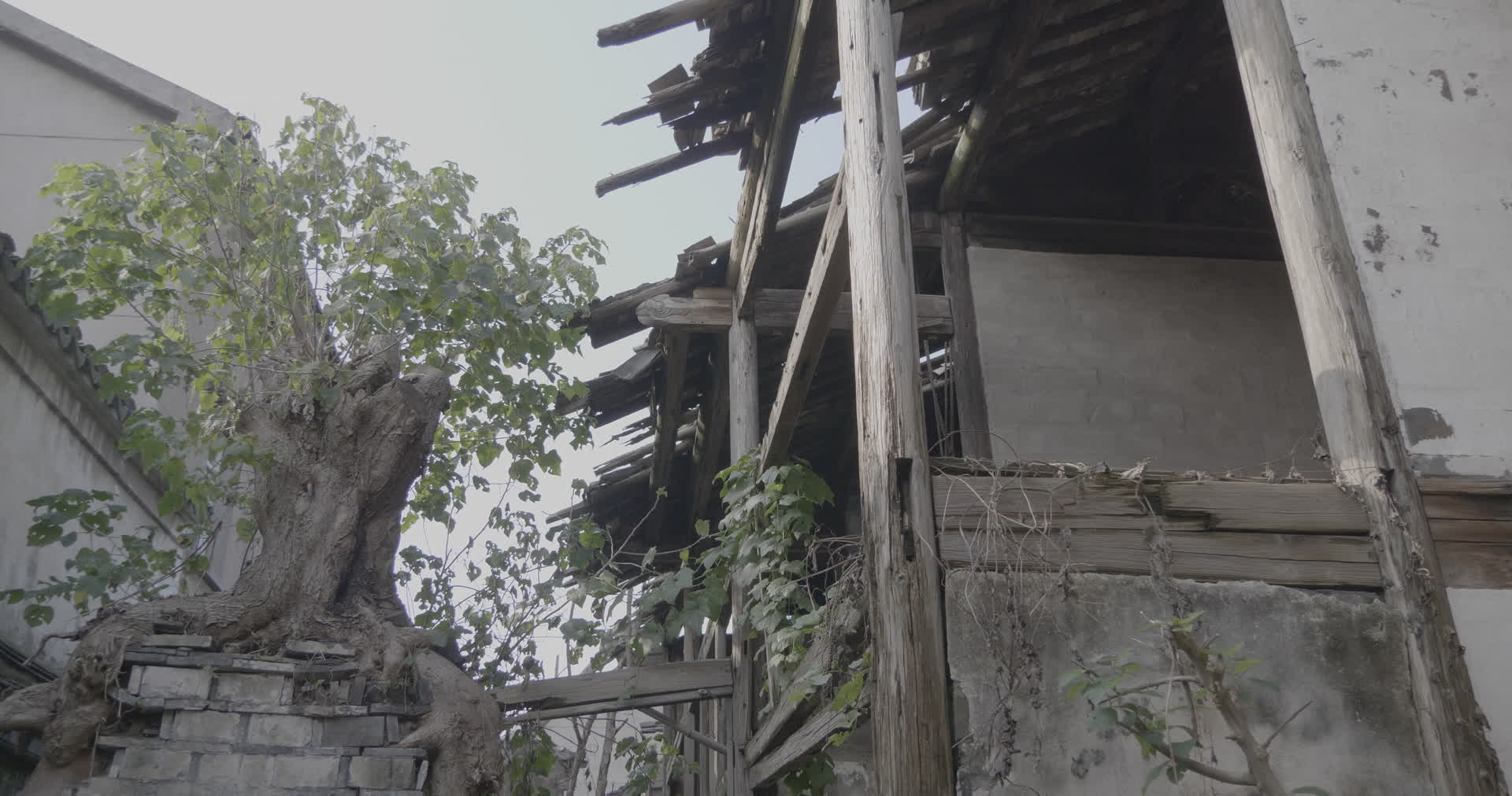 南京江宁杨柳村古建筑群破旧废弃房屋墙头4K实拍视频视频的预览图