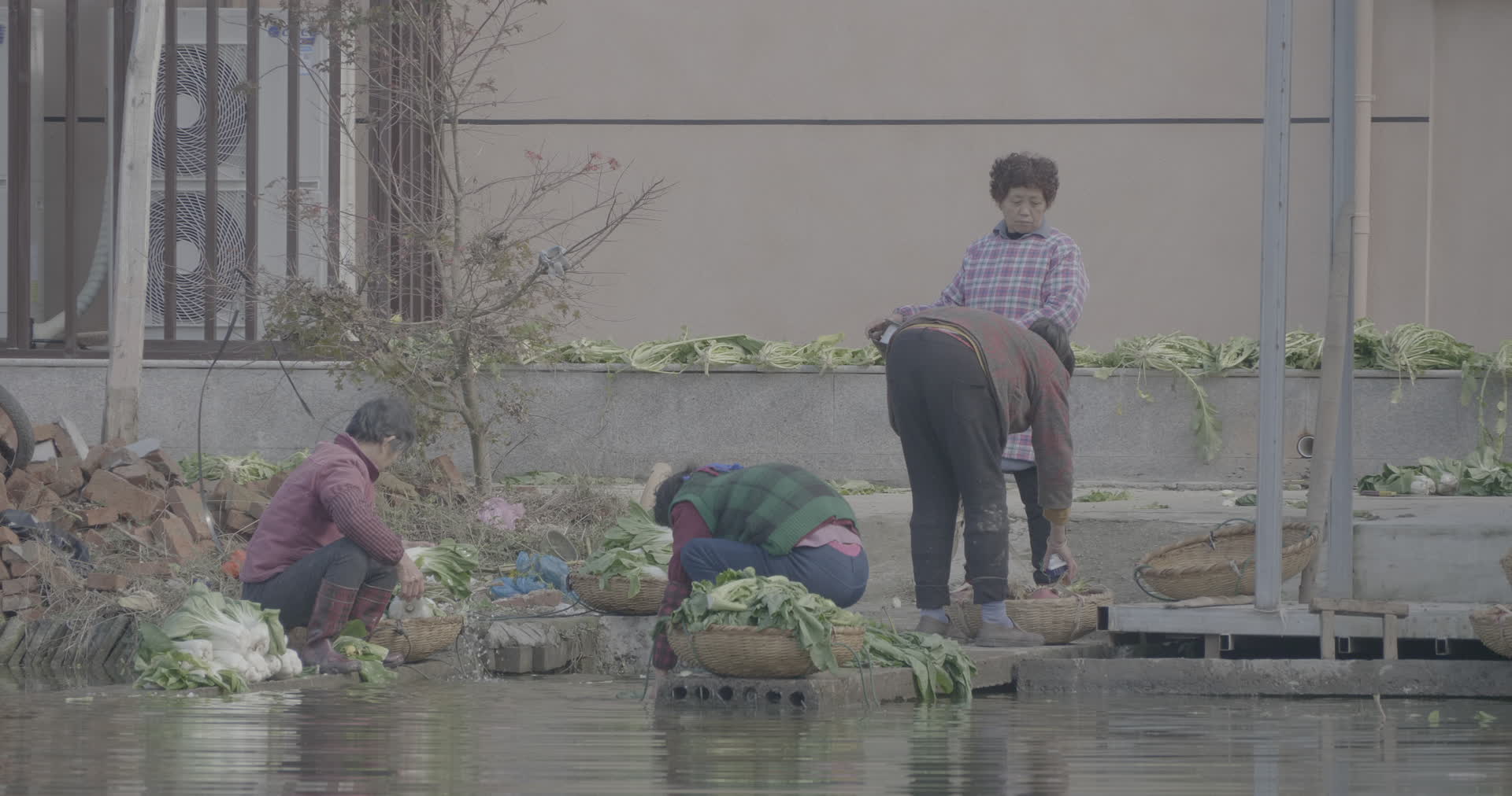 南京江宁杨柳村古建筑群农家湖边洗菜4K实拍视频视频的预览图